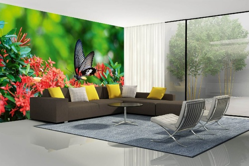 Vlies Fototapete - Großer Mormonen-Schmetterling auf Ixora-Blume 375 x 250 cm